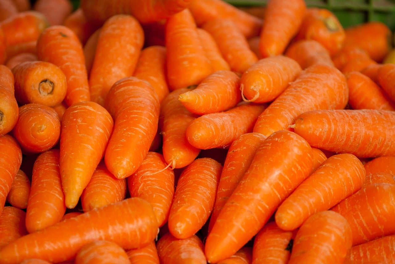 semis de carottes